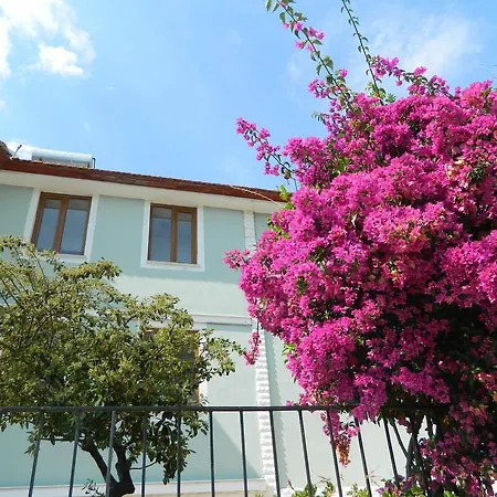 Affittacamere Pine Forest