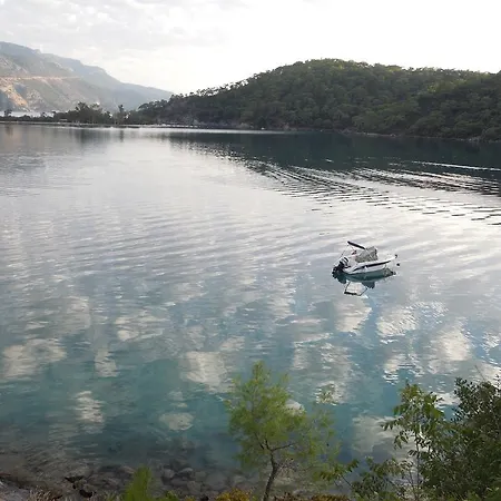 Affittacamere Pine Forest