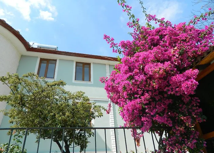 Affittacamere Pine Forest