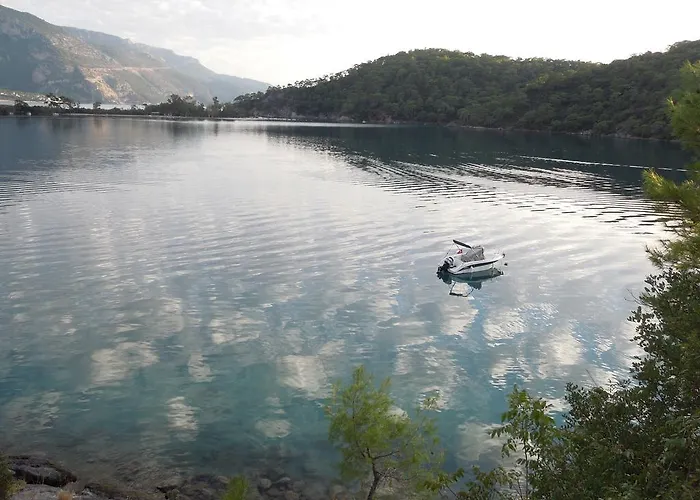 Affittacamere Pine Forest