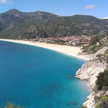 Penzion Pine Forest *