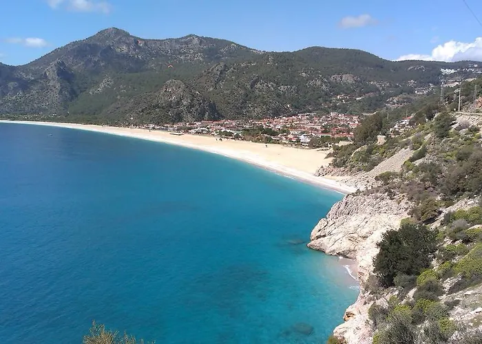 Pensionat Pine Forest *