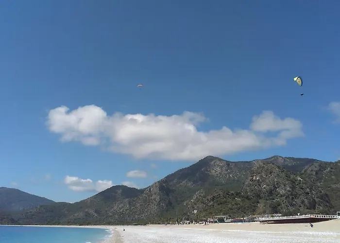 Pensión Pine Forest